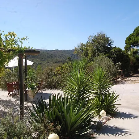 Villa In Alcobaca With Private Pool, Cleaning Included