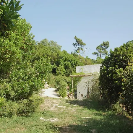 Villa In Alcobaca With Private Pool, Cleaning Included אלקובאקה