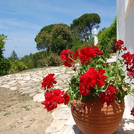Villa In Alcobaca With Private Pool, Cleaning Included